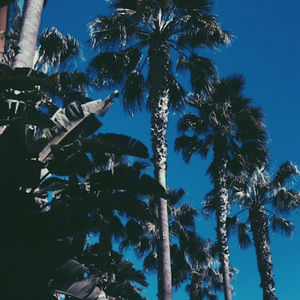 Meet your Posher, Ella